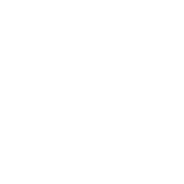 LR Digital logo in white